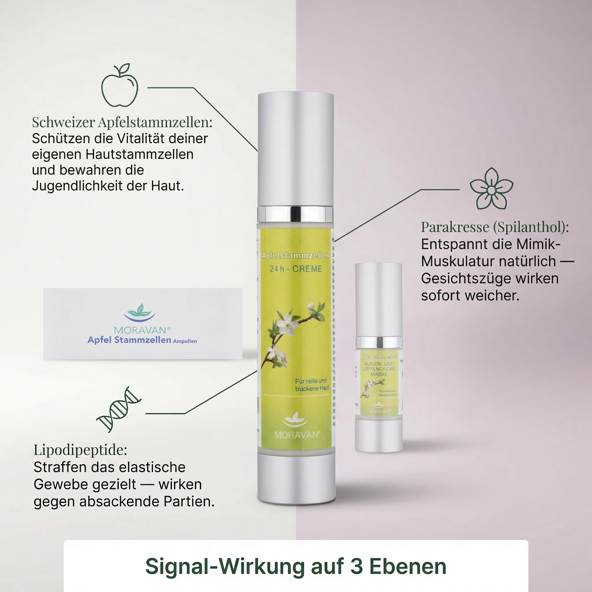 KOSMON Apfelstammzellen Lifting-Set — Ansicht 4