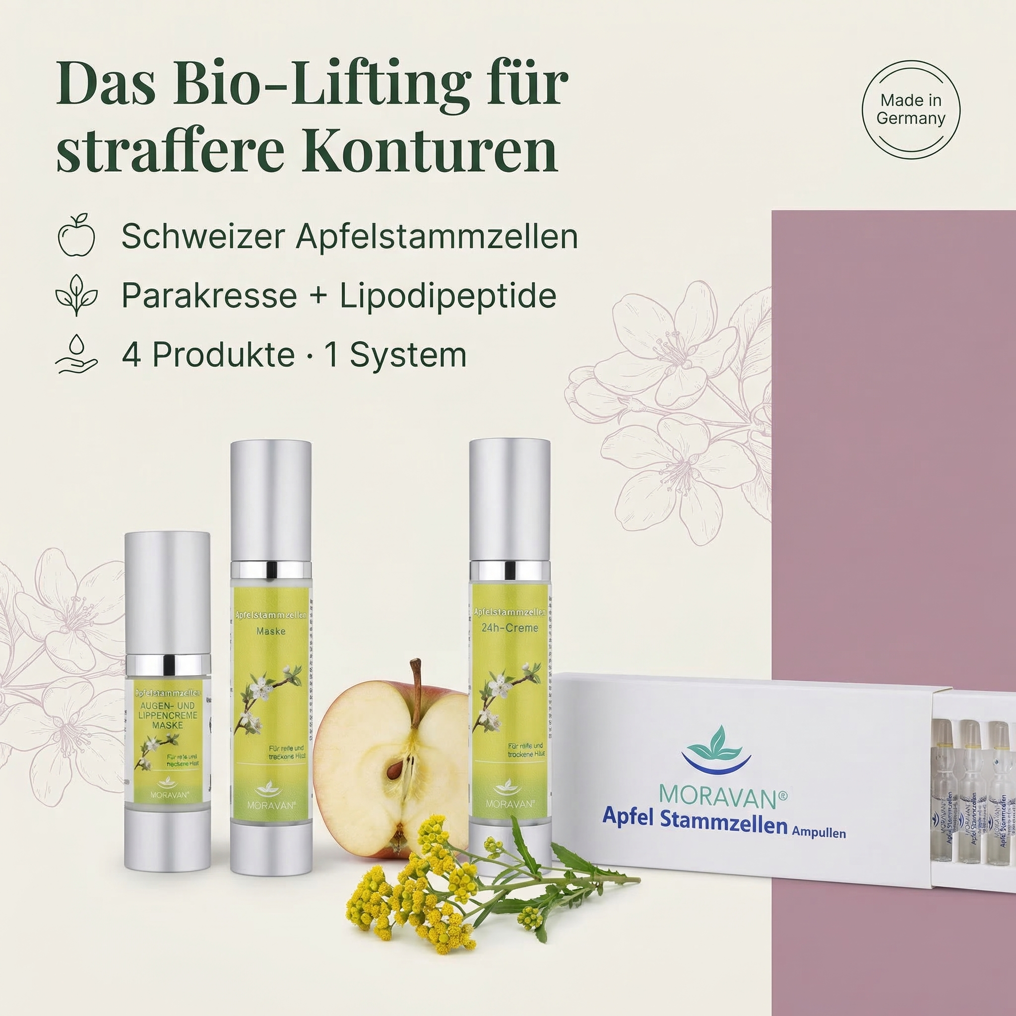 KOSMON Apfelstammzellen Lifting-Set — Ansicht 2
