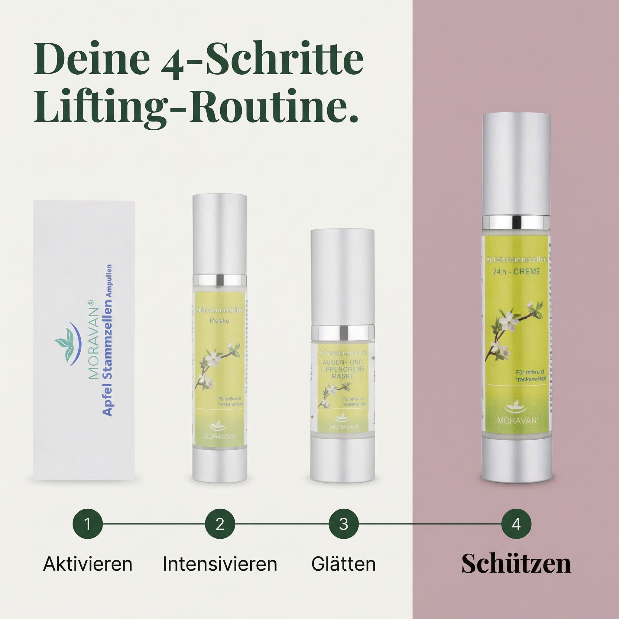 KOSMON Apfelstammzellen Lifting-Set — Ansicht 8