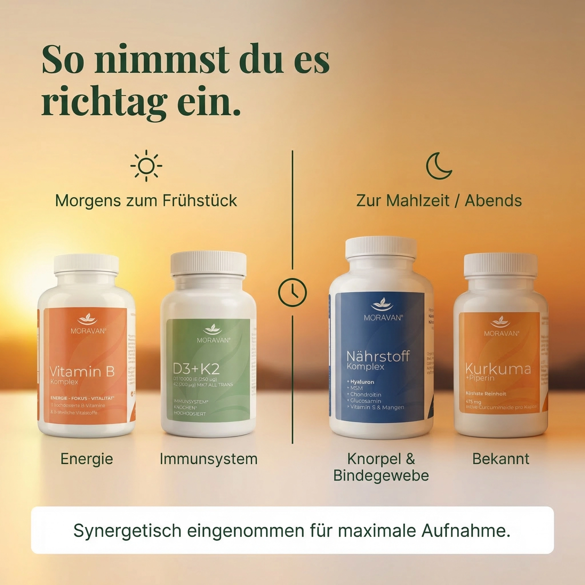 KOSMON Vital-Fundament System — Ansicht 8